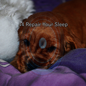 让你的思想自由入睡