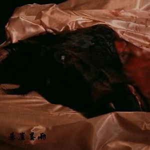 双花红棍