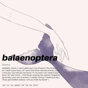 balaenoptera