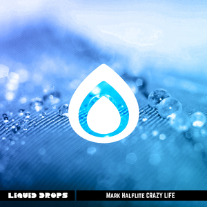 What I Didnt Do (Original Mix)