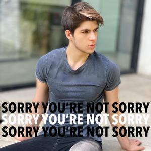 Sorry You're Not Sorry