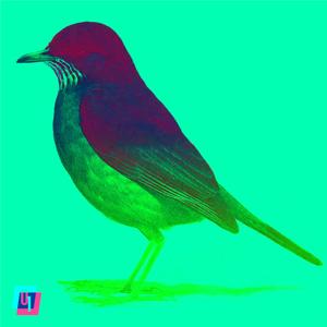 Zorzal (feat. Shaman Herrera)