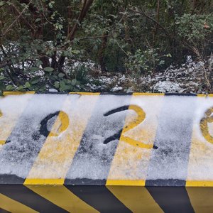 用眼泪灌溉会开出勇敢地花