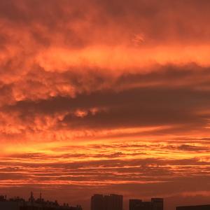 IMG_2022-03-22_23:16:04_0