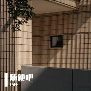 TSE（无人声ver）