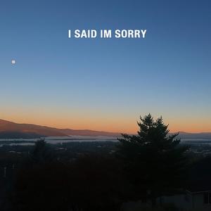 I said I'm sorry