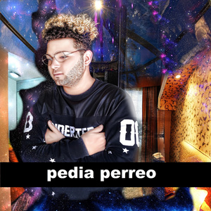 Pedia Perreo