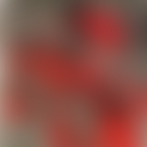 马鹿がばれるの怖くて无口