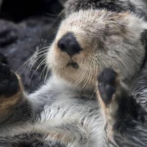 okaybiatchfreestyle.