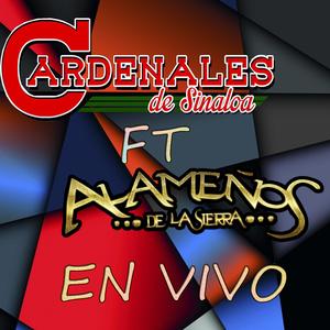 Entre Cortinas Blancas (En vivo) (En vivo)