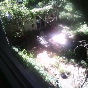 Alguna vez existimos tan intensamente