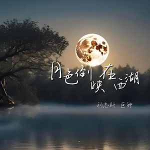 月色倒映在西湖