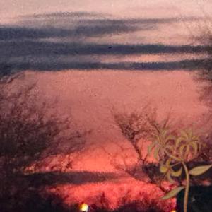 Little Robot Toy (Special Version)