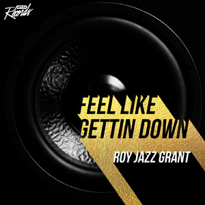 Feel Like Getting Down (Original Mix)