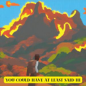 you could have at least said hi