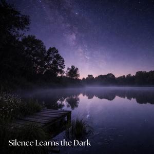 Silence Learns the Dark