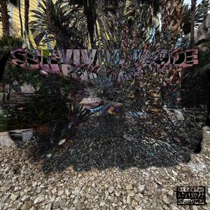 Outro ( HOOLIGANS ) ( 5 AM FREESTYLE )