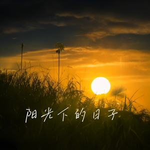 阳光下的日子