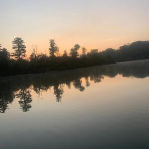 B.O.M.B (feat. New Breed Steeze)