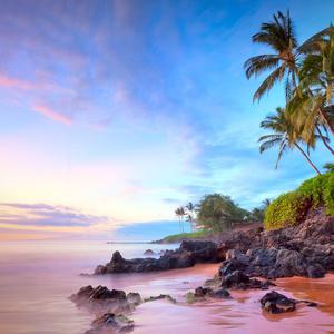 没有你会不习惯