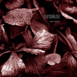 Stillbirth