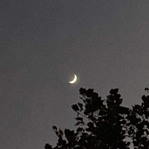 La Luna