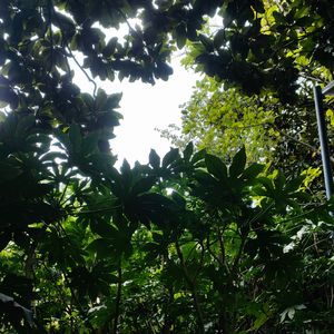 雨下一整夜Rainy Night