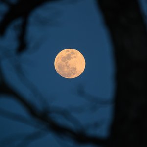 Behind the moon(Demo)