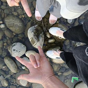 我知道你（热门原声）