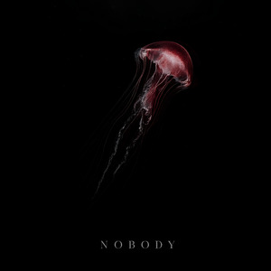 Nobody