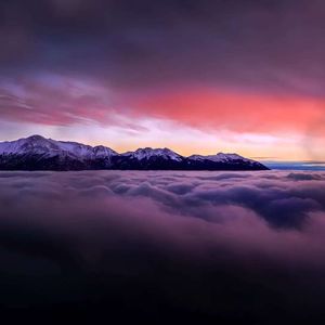 菱叶轻漾的汀洲