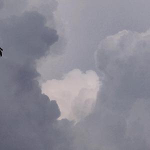 七月上（cover）