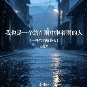 我也是一个站在雨中淋着雨的人（一杯烈酒敬苍天）