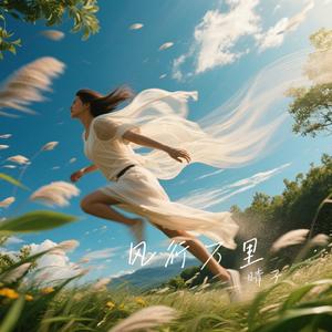 风行万里