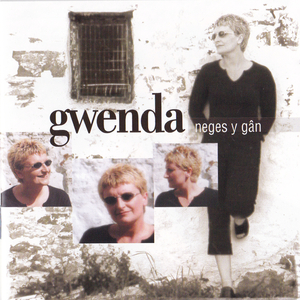 Ni Sylwais o'r Blaen