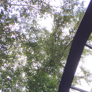 你能不能不离开呢