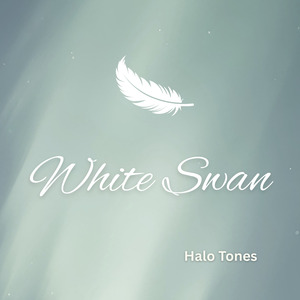 White Swan