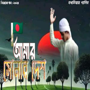 স্বাধীনতার গান | আমার সোনার দেশ