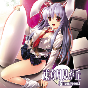 永遠に幼き紅い月 ver.violin