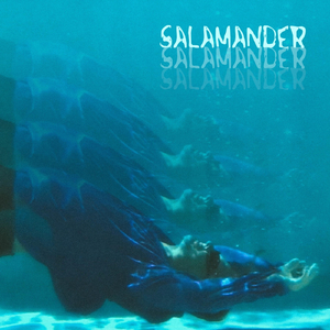 Salamander