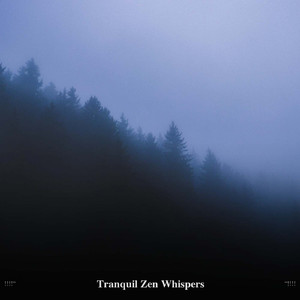 Nighttime Stream Sounds