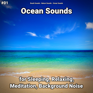 Ocean Sounds Pt. 33