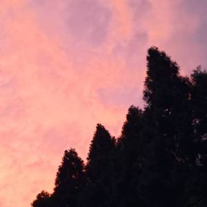 “黄昏是悲伤的产物吗？”