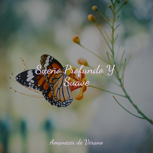 Olitas en Agua Tranquila