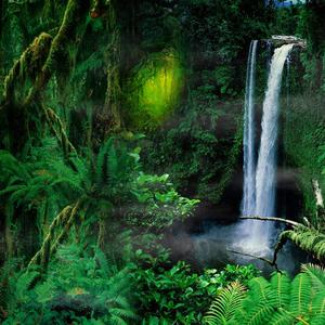 雨林晨曦·起床醒脑铃声