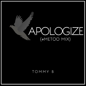 Apologize (#Metoo Remix)