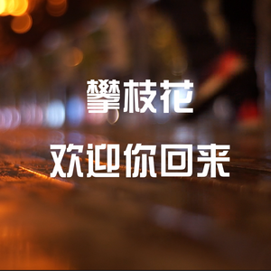 攀枝花欢迎你回来