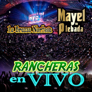 Mariposa Tornasol (En Vivo)