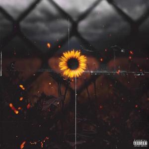 Minahal Kita, Dun Ako Nagkamali 2