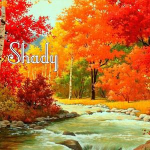 Shady